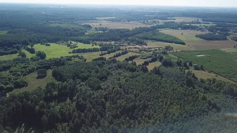 4k aerial with flight over mixed European forest at sunny day 動画素材 94048717