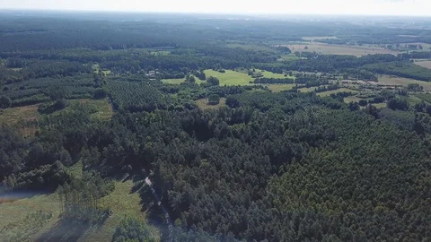 4k aerial with flight over mixed European forest at sunny day 動画素材 94049042