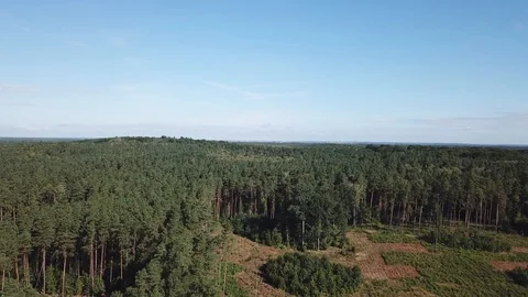 4k aerial with flight over mixed European forest at sunny day Vídeo Stock 94051875