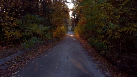 4k aerial with flight over road in autumn forest.  库存影片 97959005