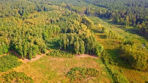 4k aerial: flight over small wild river on swampy terrain. 库存影片 94901737