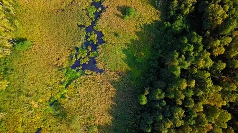 4k aerial: flight over small wild river on swampy terrain. Stock Footage 94901862
