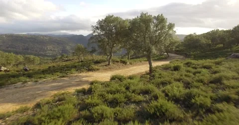 4K Aerial, Flight over trees, forests and hills, Andalusia, Spain Stock Footage