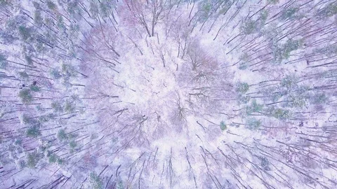 4k aerial with flight over winter snowy forest. 스톡 동영상 99992735