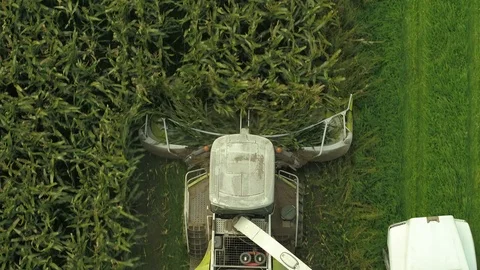 4K Aerial flight top down corn field combine harvester drone view of a farmer Stock Footage 120327615