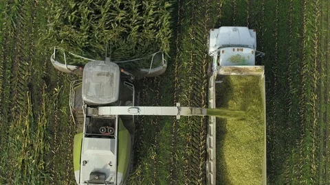 4K Aerial flight top down over corn field combine harvester drone view farmer Stock Footage 120327676