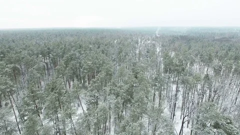 4K Aerial. Fly  with camera inclination  over Winter   frozen wood . Stockbeeldmateriaal 70800932