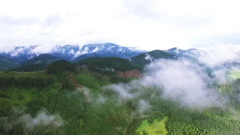 4K .Aerial. Fly in clouds in mountains with wood. Real shoot 스톡 동영상 79137357