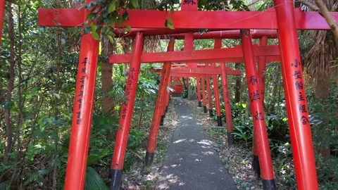 4K Aerial Fly Through Red Torii Gates Path leading to Shinto Shrine by Drone Stock Footage 257791134