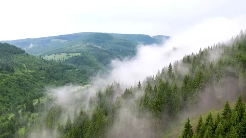 4k AERIAL Flying above foggy pine Stock Video Pond5