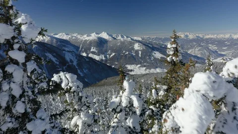 4K aerial flying close over trees with deep snow in winter mountains Stock Footage 101416089