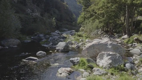 4k aerial flying over a river in the nature - backward movement - italy drone Stock Footage 83588484