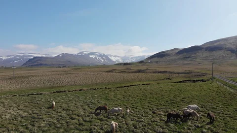 4K Aerial 스톡 동영상 127603339