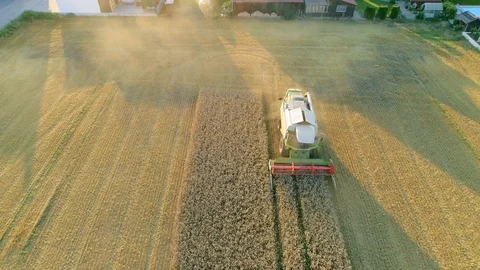 4K aerial footage of combine harvester harvesting wheat at sunset Stock Footage