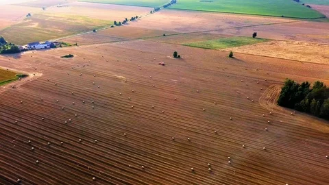 4k aerial footage with tractor and rolling press making straw bales on field.  Stock Footage 95415853