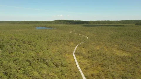 4K aerial footage of a wooden path in the Meenikunno bog in Estonia Stock Footage