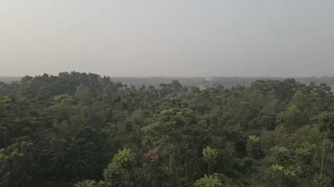 4K Aerial forest Stockbeeldmateriaal 211660637