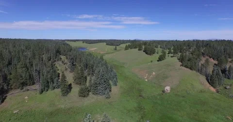 4K Aerial - Forest Tree flyover Stock Footage 55143654
