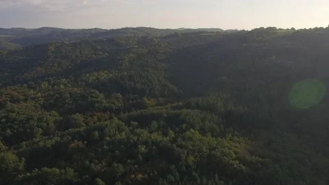 4K Aerial Of Forest Zoom Effect - Trombone Shot Stock Footage 141504529