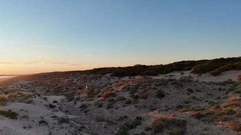 4K Aerial: Forward flight over dunes and pine forest at sunset Huelva Spain. Stock Footage 333637566
