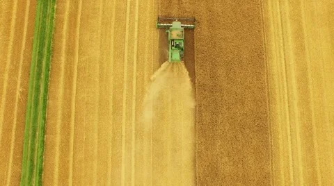 4K-Aerial: Harvester-thresher while harvesting a grain field Stock-Footage 65249464