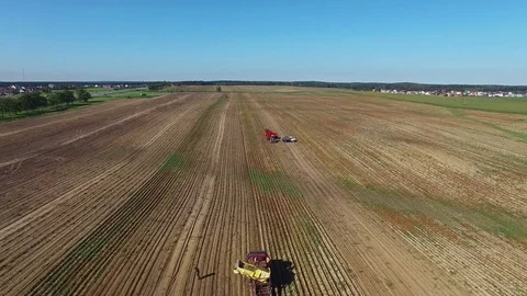 4K. Aerial. Harvesting potatoes with modern potato-digger trailers and tractors. Stock Footage 71863553