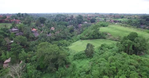 4K AERIAL HIGH ANGLE FLY OVER TO REVEAL TEMPLE IN UBUD BALI Stock Footage 59794026