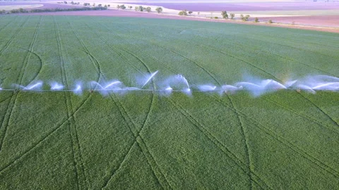 4K  Aerial. Irrigation of fields system. Beautiful streams of water over green p Stockbeeldmateriaal 95133016