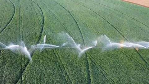4K  Aerial. Irrigation of fields system.  Vídeo Stock 95138764
