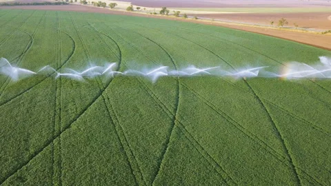 4K  Aerial. Irrigation of fields system.  Vídeo Stock 95171442