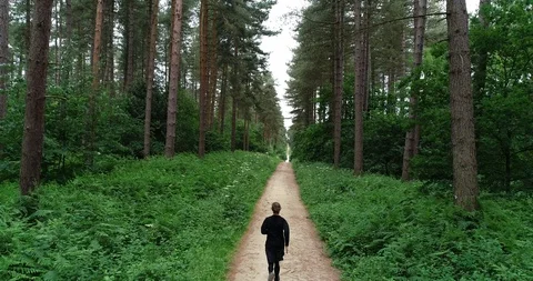 4K Aerial. Man running on Path through a Great Green Nature Forest Glade. Stock Footage 91256632
