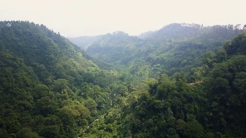 4K Aerial Mountainous Forest Stock Footage 76393291