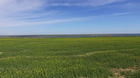  4K Aerial. Over spring field and gulf of  sea in distance Vídeo Stock 75074078