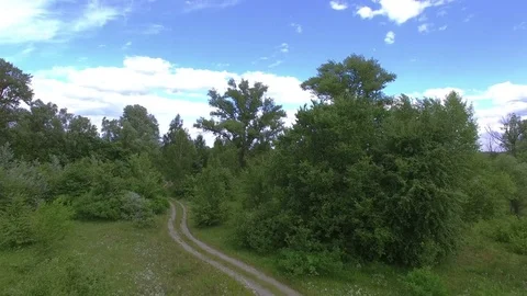 4K Aerial. Up over spring  or summer river and green field with trees.  Stockbeeldmateriaal 77624134