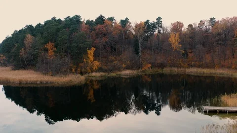 4K Aerial pan down view of Asveja lake coastline in Autumn Stock Footage 122233510