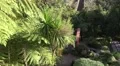 4k Aerial panning tropical ZEN garden Madeira 4k or 4k+ Resolution