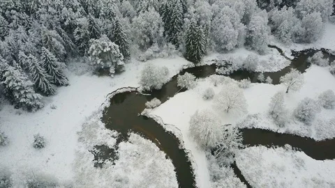 4K. Aerial panoramic view of wild winding river in winter frozen forest. Vídeo Stock 83363433