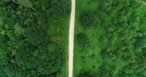 4K Aerial. Path through a Great Green Nature Forest Glade, Tree Lined Britian Stock Footage 91225402