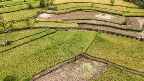 4k Aerial pull back Footage of Rice Terrace Stock Footage 294956935