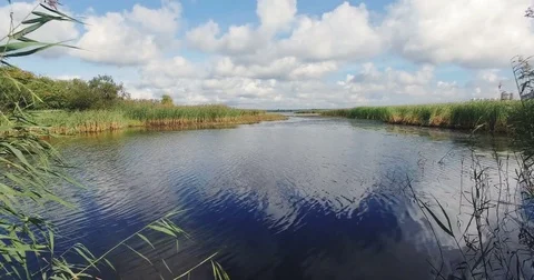 4K Aerial Of The Reflective Rippling Surface Of The Water With Plants And Reeds Stock Footage 82809760
