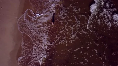 4k AERIAL with sandy beach of Baltic Sea and child jumping in water - top view. Stock Footage 155754307