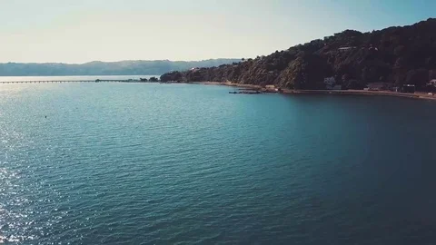 4k Aerial Seagull Drone Attack Vídeo Stock 81849222