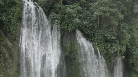4k Aerial shot for amazon river and the rain forest in brazil rainforest13.16log Stock Footage 205020533