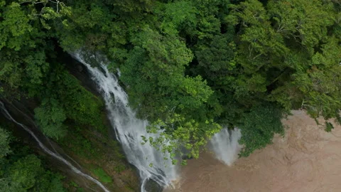 4k Aerial shot for amazon river and the rain forest in brazil rainforest10.16rec Stock Footage 205067370