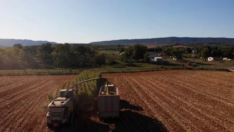 4K Aerial Shot of Chopping - Harvesting Corn Silage Stock Footage