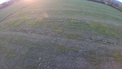 4K: Aerial shot of a meadow in setting sun Stock Footage 74885545