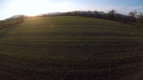 4K: Aerial shot of sun setting over a pasture Stock Footage 74881289
