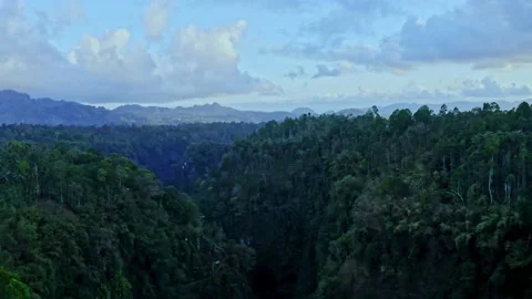 4K Aerial Shot Of Waterfall In Java Island,Indonesia. Stock Footage 164794394