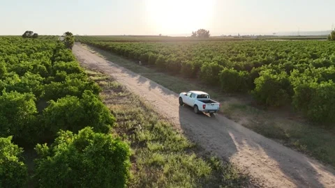 4K Aerial side tracking view of vintage pick-up truck driving on rural dirt road Stock Footage 335956535