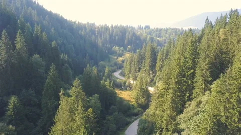 4K .Aerial. Smooth flight over mountain area with road, green wood  Stock-Footage 118976985